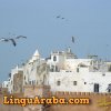 EssaouiraOldCity01